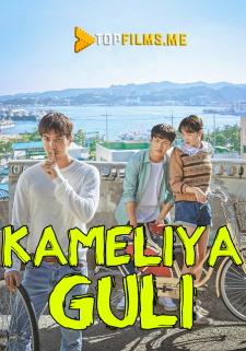 Kameliya Guli 1-20 qismlar Uzbek tilida