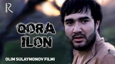 Qora ilon (o'zbek film)