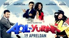 Aql va yurak (o'zbek kino)