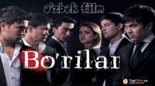 Bo'rilar